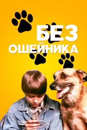 Bez osheynika's poster