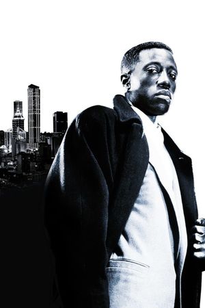 Sugar Hill's poster