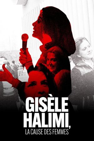 Gisèle Halimi : La Cause des femmes's poster