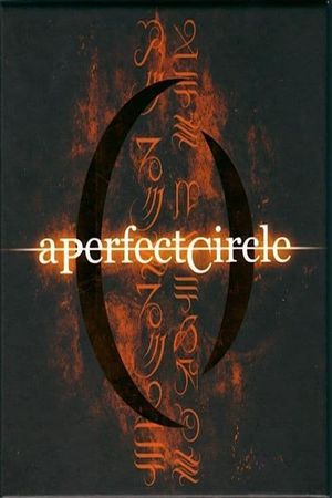 A Perfect Circle: Stone and Echo's poster