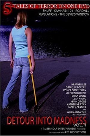 Detour Into Madness Vol 1.'s poster