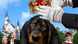 The Duke's poster
