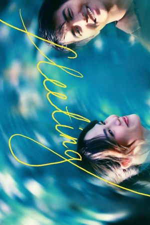 Fleeting's poster