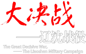 Decisive Engagement: The Liaoxi Shenyang Campaign's poster