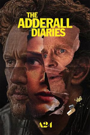The Adderall Diaries's poster