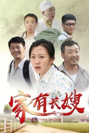 家有长嫂's poster