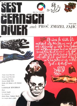 Sest cerných dívek aneb Proc zmizel Zajíc?'s poster