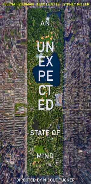 An Unexpected State of Mind's poster