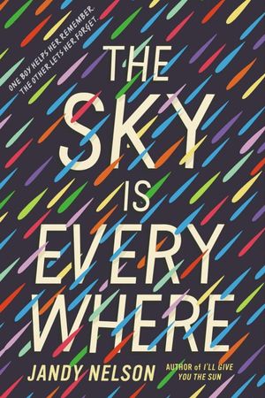 The Sky Is Everywhere's poster image