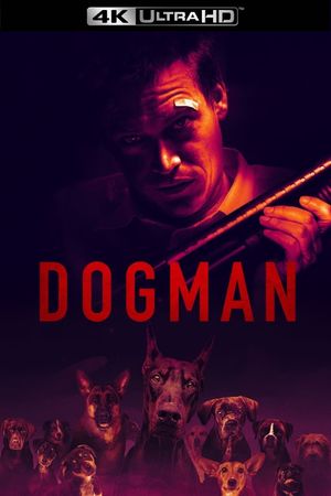 DogMan's poster