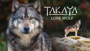 Takaya, Lone Wolf's poster