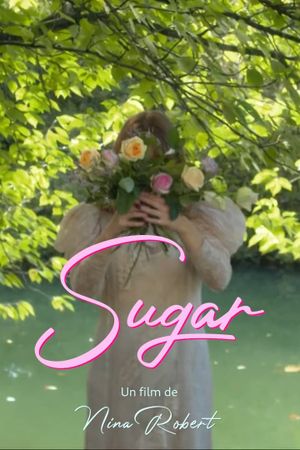 La France en Vrai - Sugar's poster