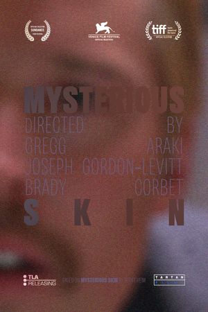 Mysterious Skin's poster