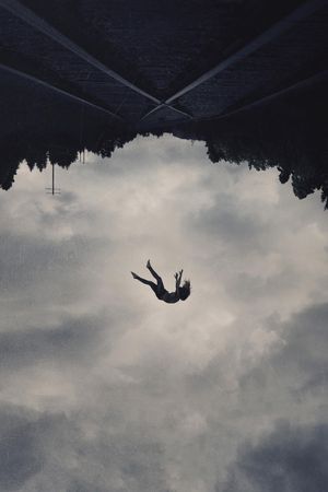Believer's poster