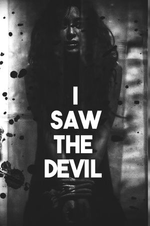 I Saw the Devil's poster