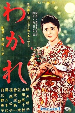 Love in the Mountains's poster