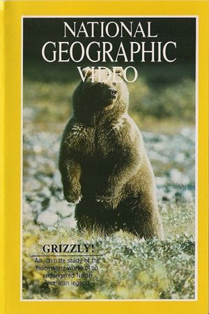 Grizzly!'s poster