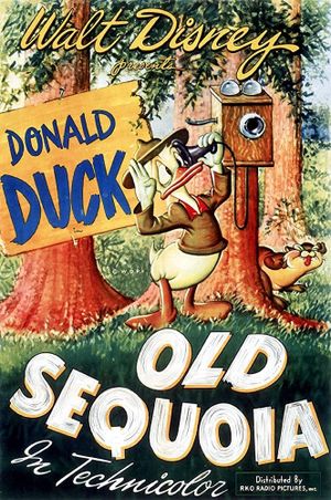 Old Sequoia's poster