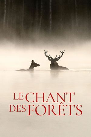 Whispers in the Woods's poster