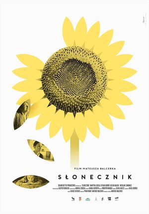 Sunflower's poster