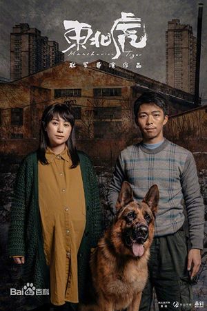 Manchurian Tiger's poster