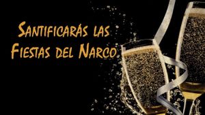 Santificarás las Fiestas de Narcos's poster