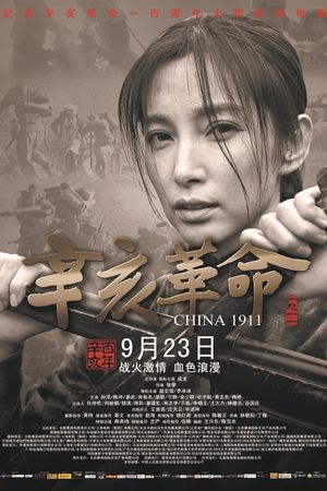 1911's poster