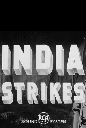 India Strikes's poster