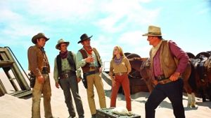 The Train Robbers's poster