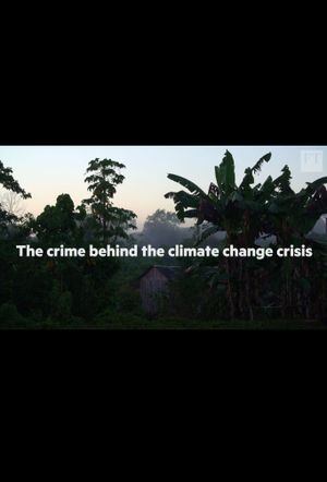 The crime behind the Amazon climate change crisis's poster image