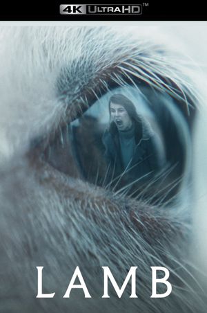 Lamb's poster