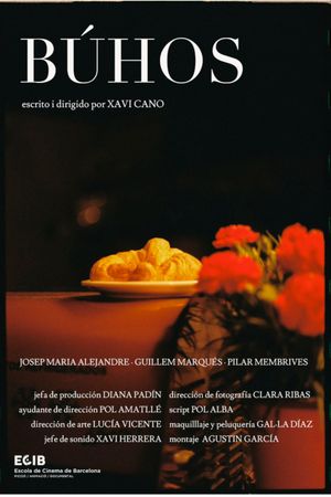 Búhos's poster