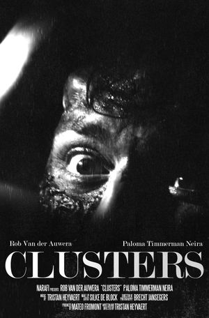 Clusters's poster