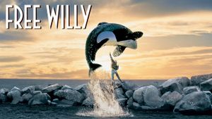 Free Willy's poster