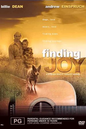 Finding Joy's poster