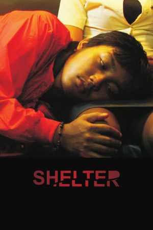 Shelter's poster