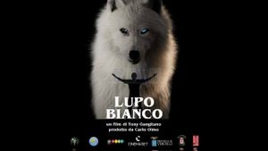 Lupo Bianco's poster