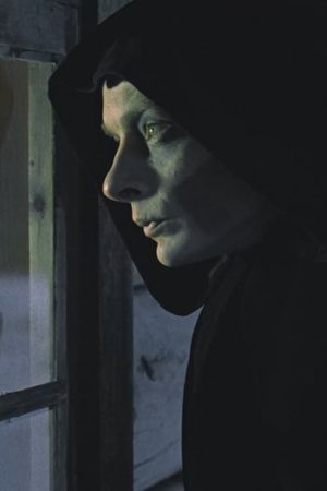 The Visitor's poster