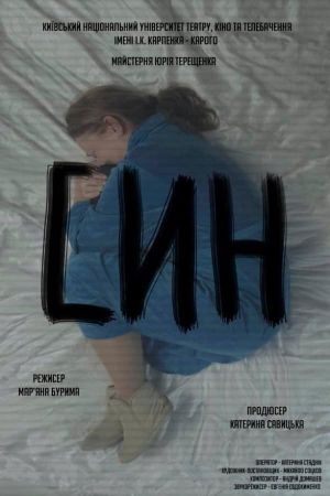 The Son's poster