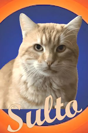 Sulto's poster