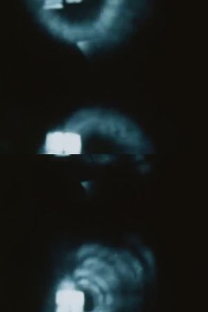 Pinhole Film (The Man Without a Movie Camera)'s poster image