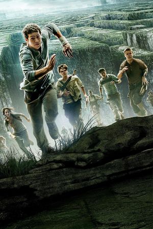 The Maze Runner's poster