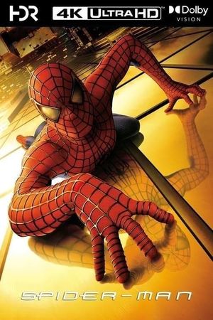 Spider-Man's poster