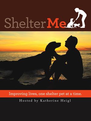 Shelter Me's poster
