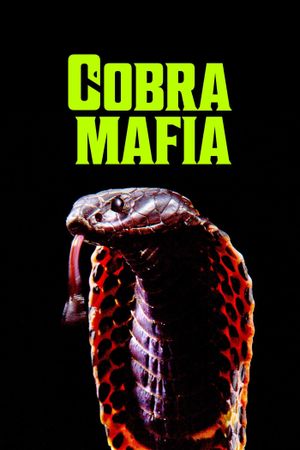 Cobra Mafia's poster