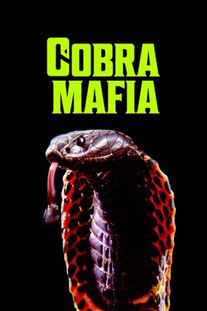 Cobra Mafia's poster