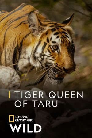 Tiger Queen of Taru's poster