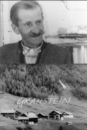 Granstein's poster