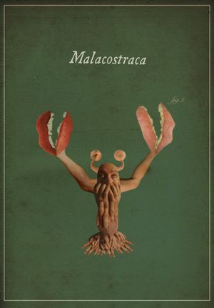 Malacostraca's poster