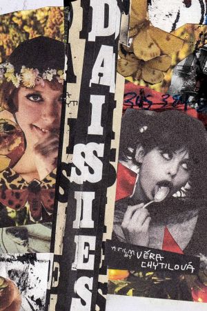 Daisies's poster
